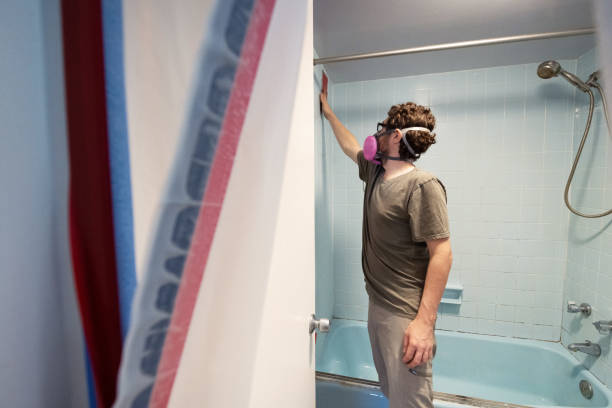 Best Mold Odor Removal Services  in Salida, CO